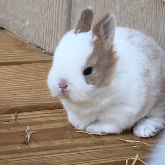 Hop on in for Added Discounts! - Picture 16 of 16